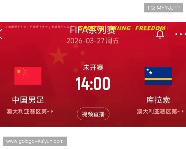 FIFA系列赛